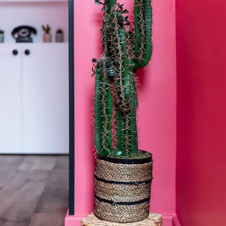 Apartment La Caliente Avec Balneo Privative *